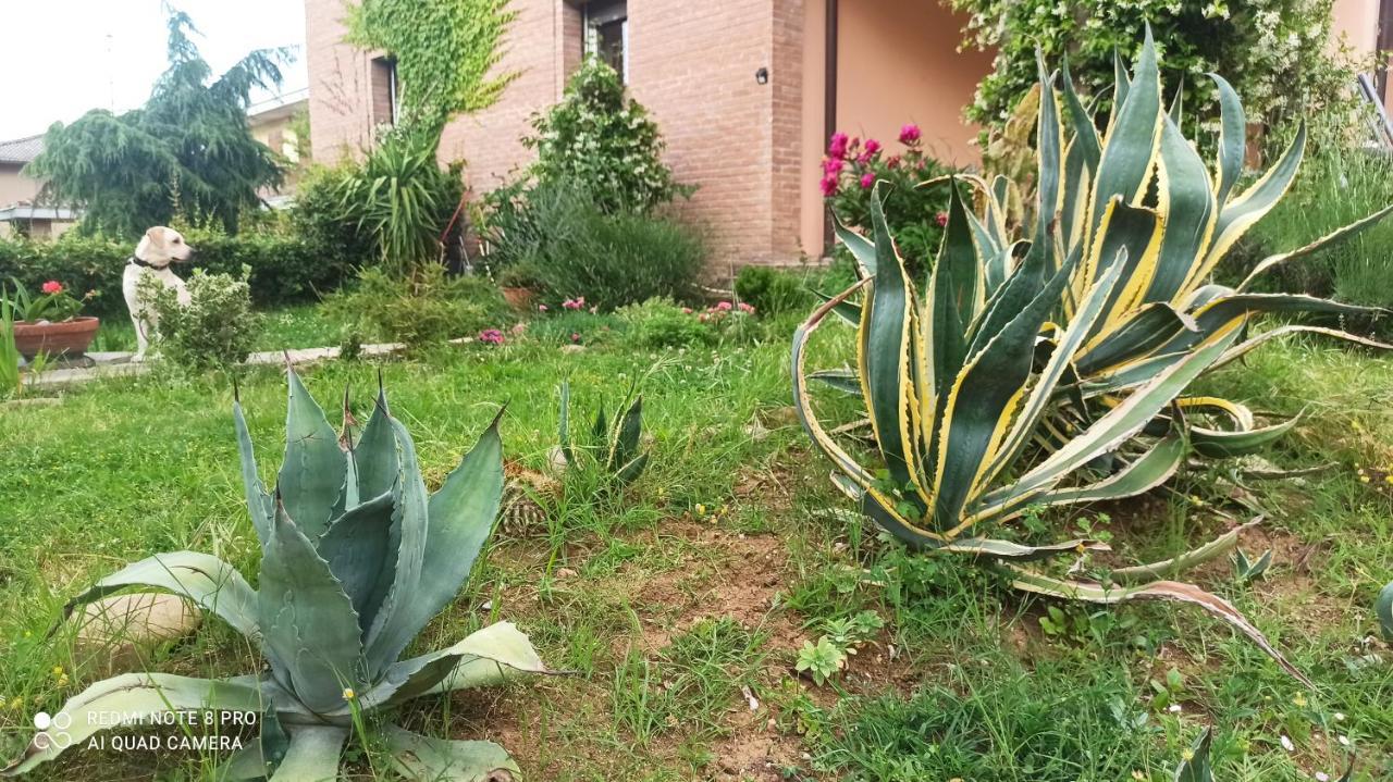 Villa Casa Vincenzo 130 Mq Con Portico Ed Ingresso Esclusivo Dal Giardino Felino Exterior foto