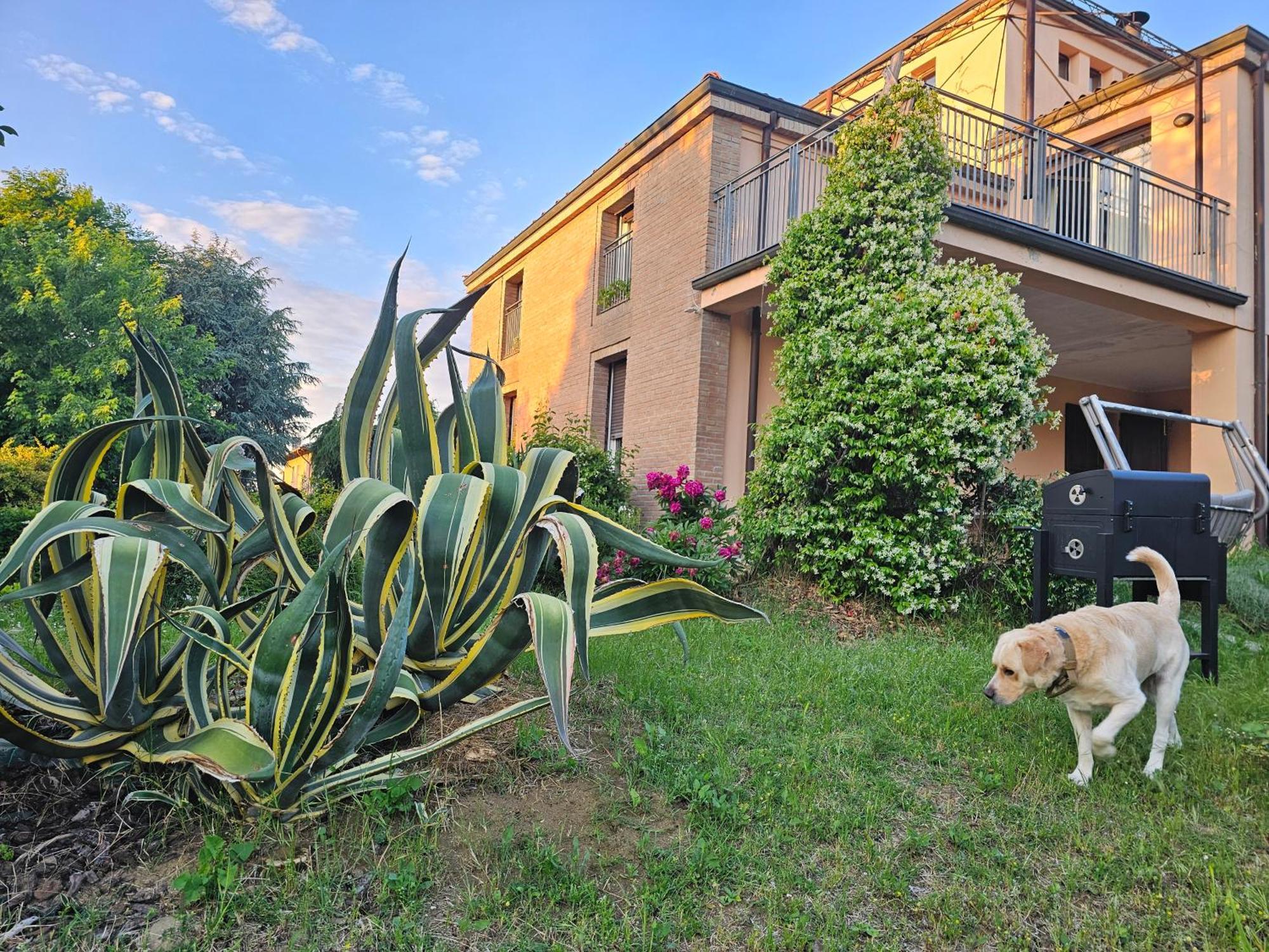 Villa Casa Vincenzo 130 Mq Con Portico Ed Ingresso Esclusivo Dal Giardino Felino Exterior foto